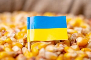 Ukraine corn