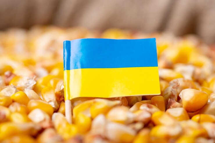 Ukraine corn