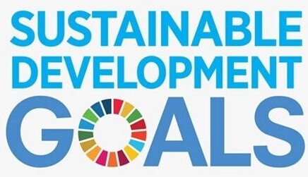 How Seriously Are We Taking the Sustainable Development Goals?